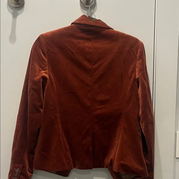 Elegant Velvet Women's Blazer in Rich Rust - Picture 6 of 11